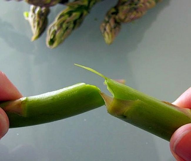 Snapping to remove the woody stem - discover how to cook asparagus here