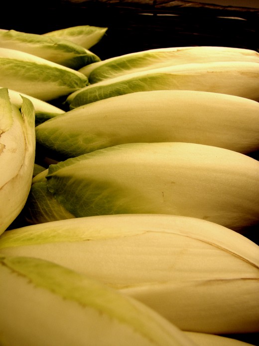 You can grow Belgian endive in your own garden. See the two step process here.