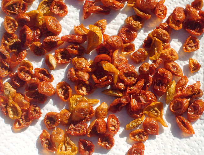 See the fabulous recipes for making home made dried tomatoes and semi-dried tomatoes
  in your own oven using these delightful recipes, tips and guides.