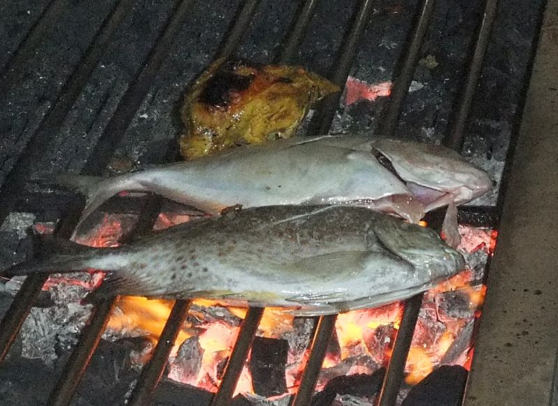 Cooking fish on an open grill over a flame is the perfect method. It allows the smoky essence of the fire to infuse into the fish and the excess oil to drip out. Whole fish or thick fish fillets, cutlets or pieces are suitable