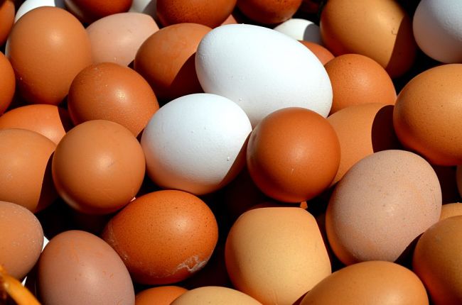 The humble egg can be replaced but the sheer beauty of eggs will live on.