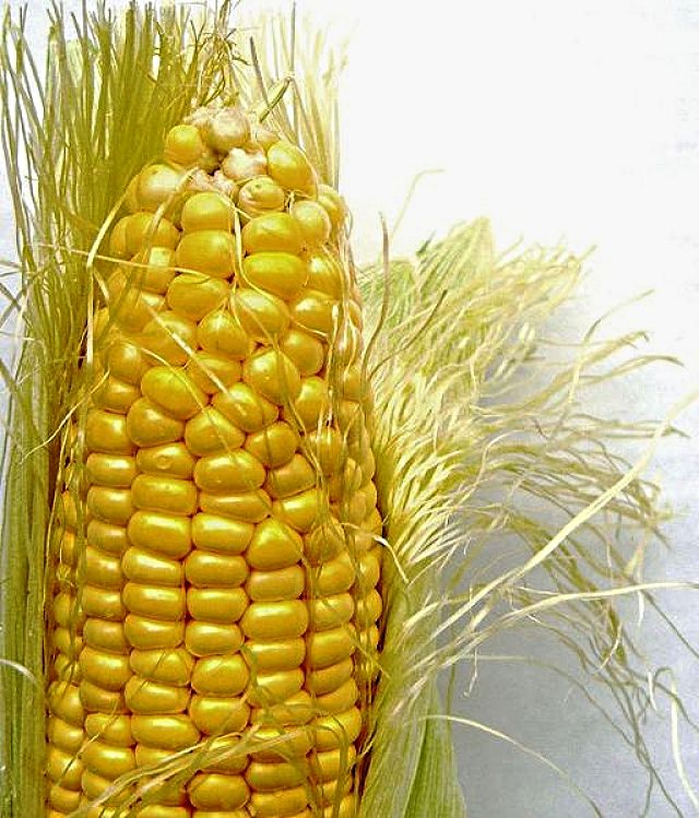 Delightful and Simple Corn on the Cob