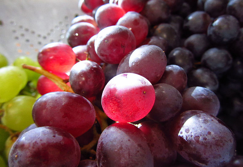 Fresh grapes are a delight and can be added to salad and used in many cooked dishes