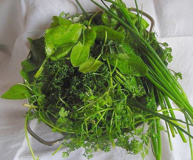 Fresh herbs add delightful flavors and aromas to a wide variety of dishes and salads.