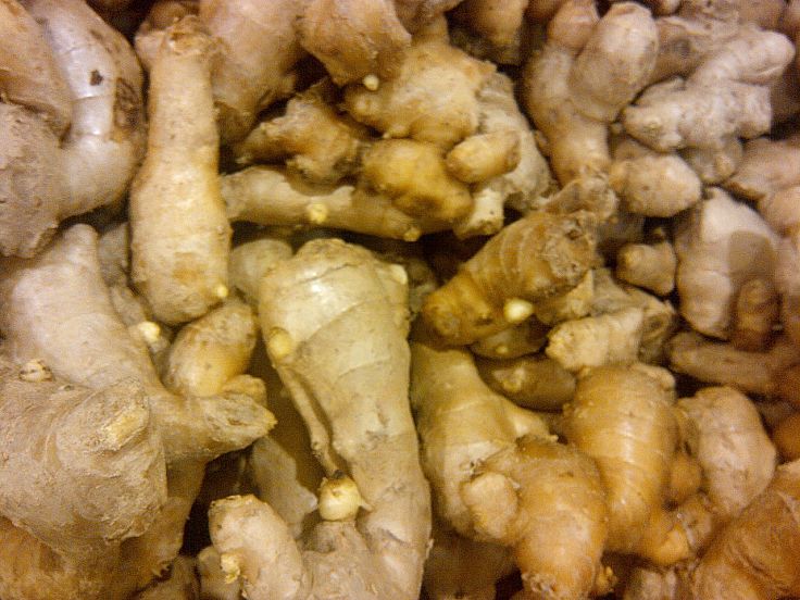 Fresh Ginger provides the raw Material for Ginger Wine which you can easily make at home using the fabulous recipes in this article.