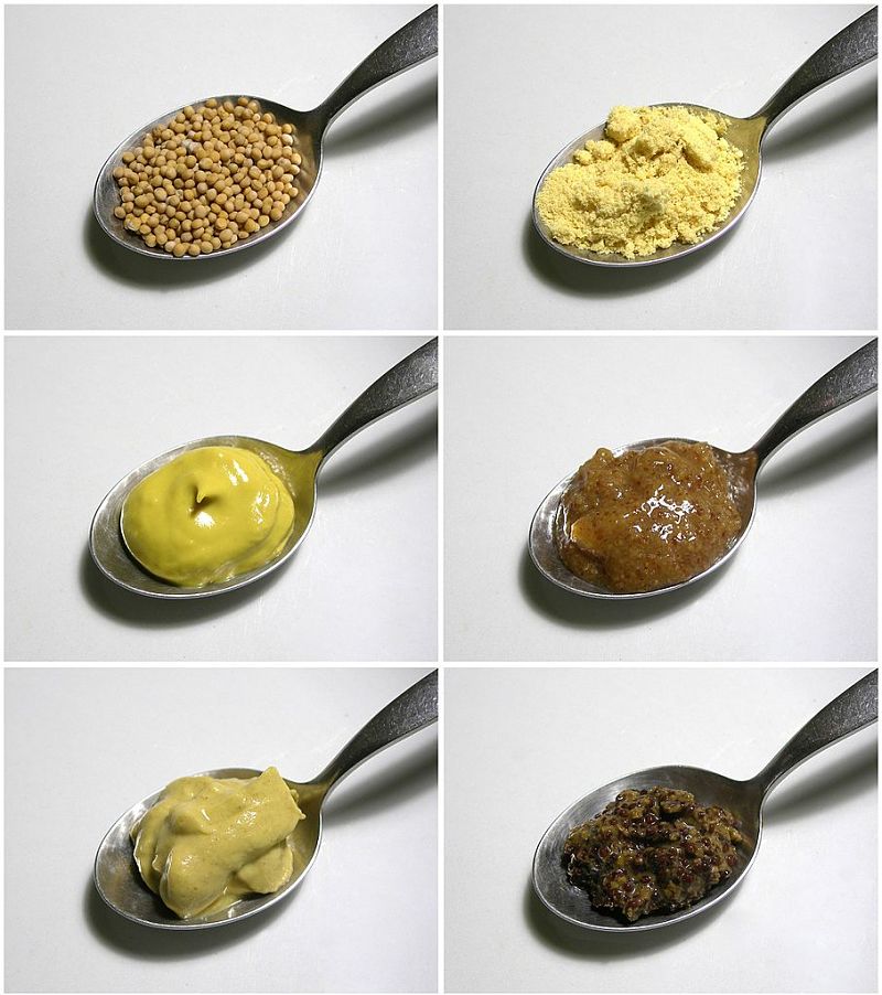 Various ways in which mustard seeds can be enjoyed. See how to prepare homemade mustard here