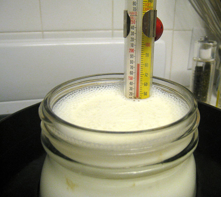 A thermometer is a great idea as keeping the ideal temperature helps keep the fermentation on track