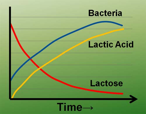 Graph highlighting the process of fermenting lactose and creating lactic acid