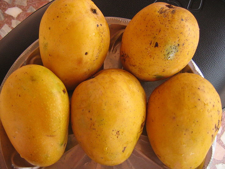 Save some of those fresh mangoes in season for cooking delightful dishes that showcase the taste, texture and color of mangoes
