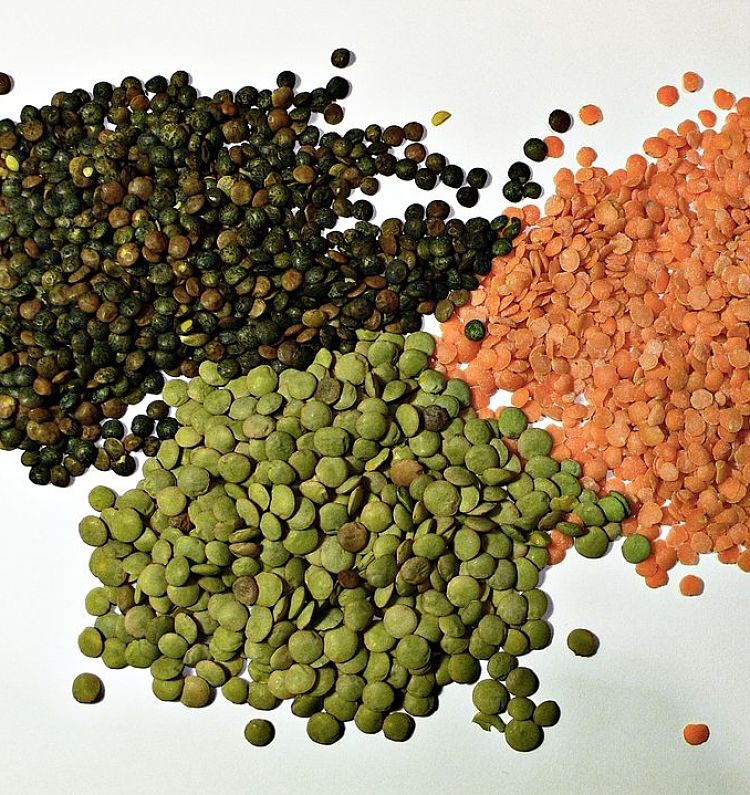 Lentils come in a variety of colors which can add interest to your homemade Mujadara dish