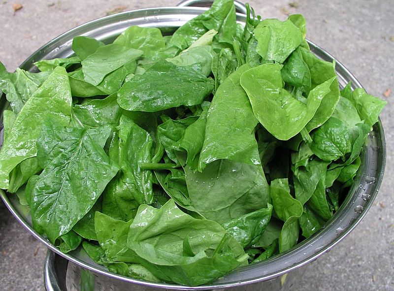 Spinach is a superfood and pairs so well with mushrooms