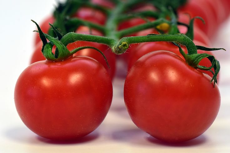 Tomatoes on the vine are generally the best choice ensuring freshness and firmness